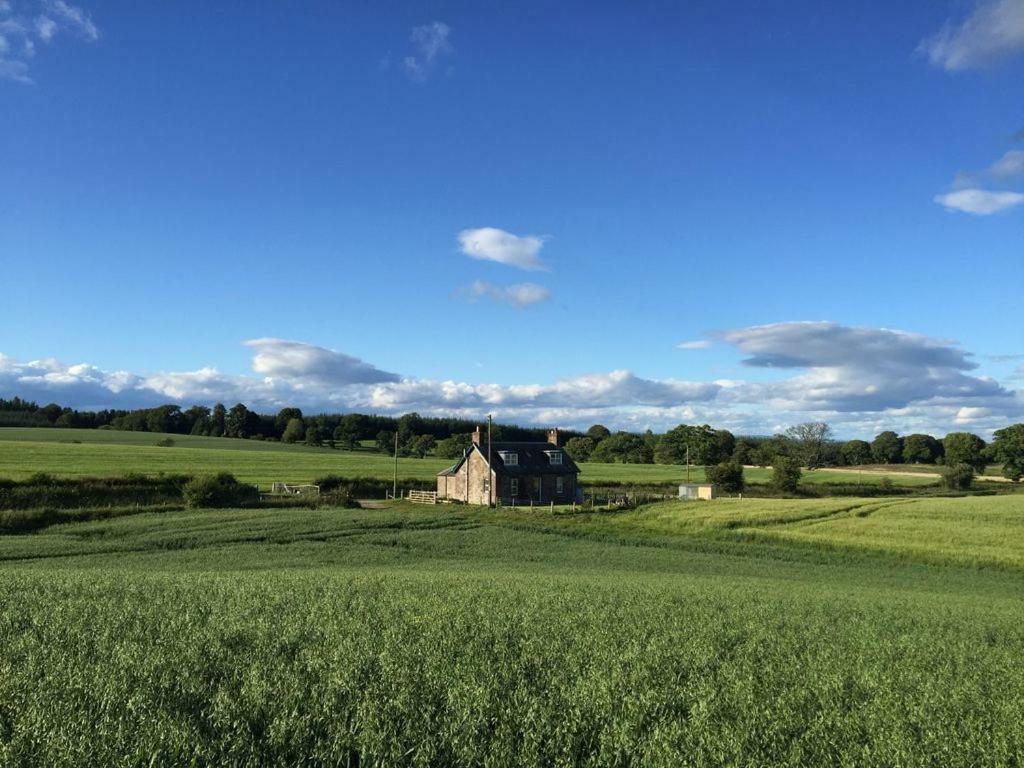 Blackhill Farm Cottage Perth Kültér fotó